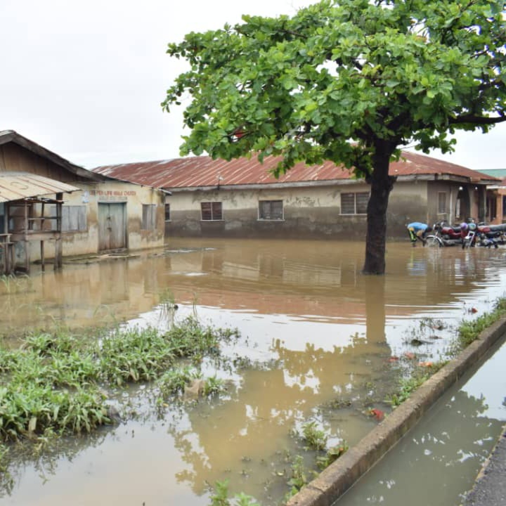 Kwara, Nigeria: Young women leading the fight for greener and stronger communities during COVID-19